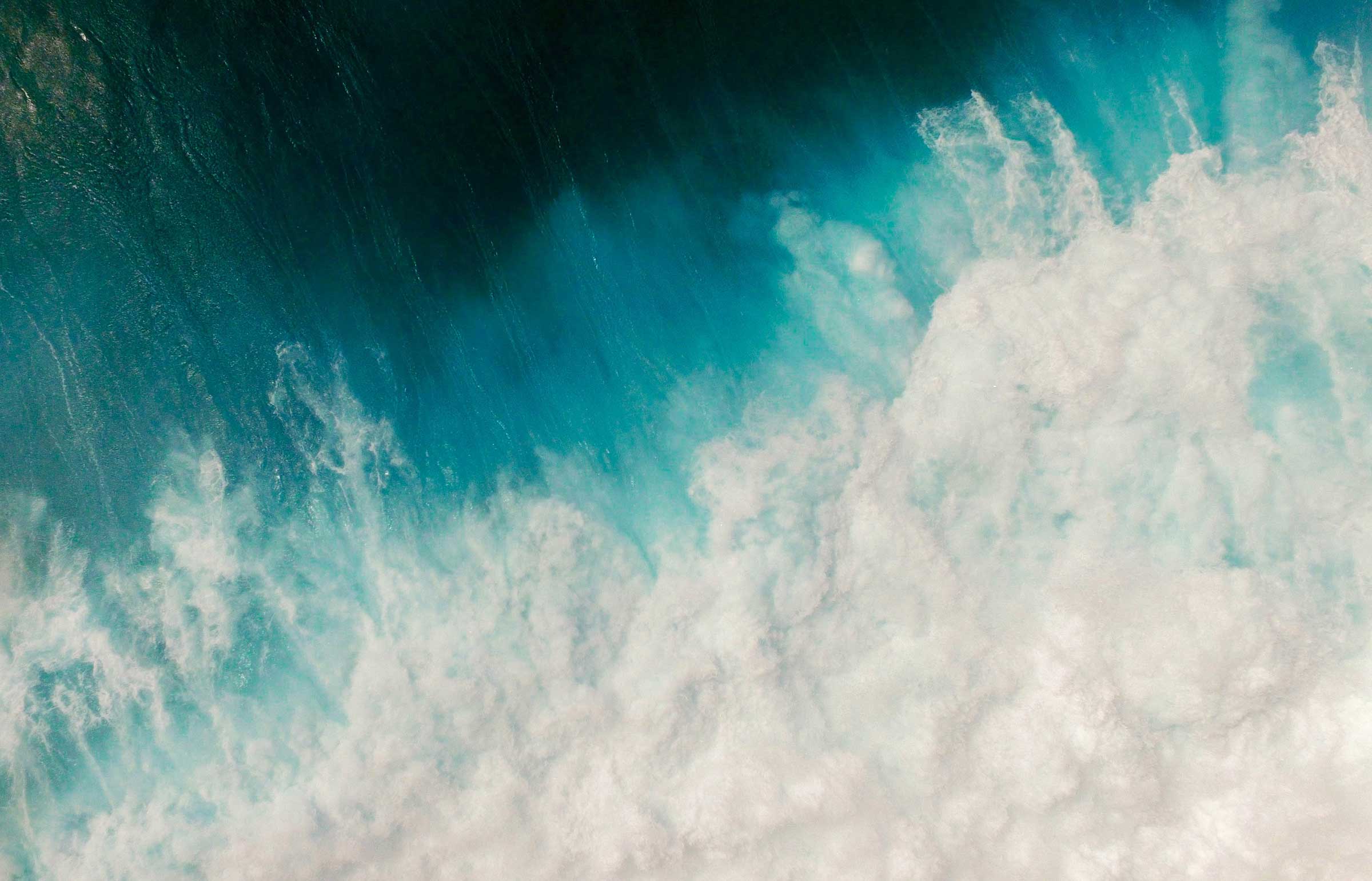 Waves in the digital ecosystem